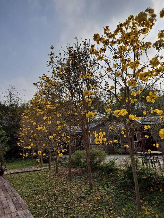 蓬萊生態農場仙山民宿 Nanzhuang Exterior photo